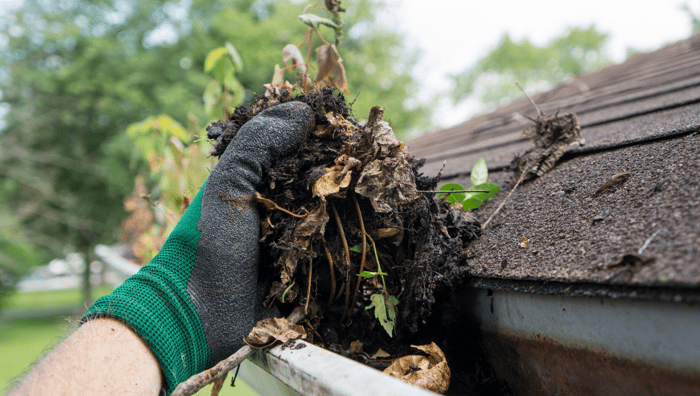 Fall preparation: Cleaning your gutters and downspouts