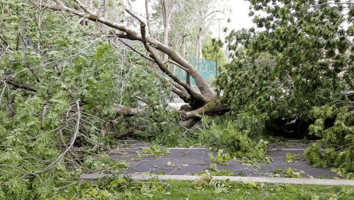 How to care for your property before, during and after a windstorm